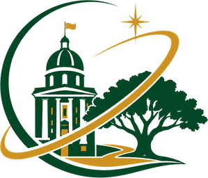 TLH Vision logo